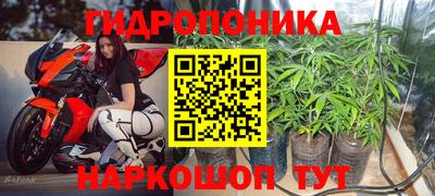 дмт Кандалакша