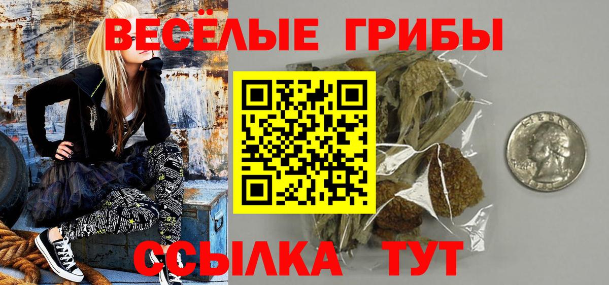 Галлюциногенные грибы мухоморы Ленинск-Кузнецкий