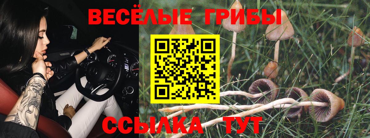 Псилоцибиновые грибы GOLDEN TEACHER  Вход с VPN  Ленинск-Кузнецкий 
